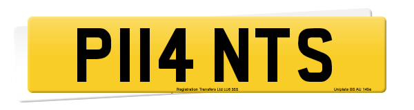 Registration number P114 NTS